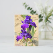Iris "Skyship"    [Briefkaart] Briefkaart (Staand voorkant)