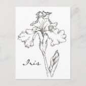 Iris Spring Flower Pen en Ink Tekening Briefkaart (Voorkant)