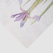 Iris Spuria (Kasjmir) van William Dykes Tissuepapier (Detail)