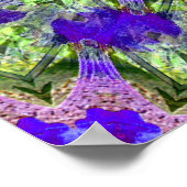 Iris Stars..... Poster (Hoek)