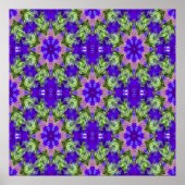 Iris Stars..... Poster (Voorkant)