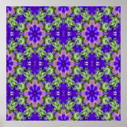 Iris Stars..... Poster (Voorkant)