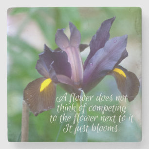 Iris Stenen Onderzetter