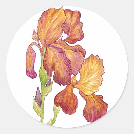 Iris-Sticker van kunstenaar Ronde Sticker (Voorkant)