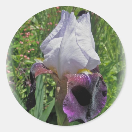 iris Stickers (Voorkant)