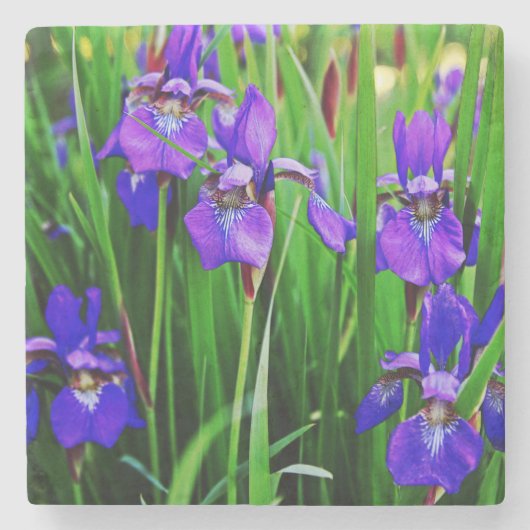 Iris Stone Onderzetter (Voorkant)