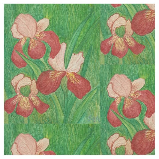 Iris-structuur Stof (Close Up)