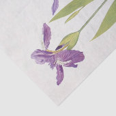 Iris Tectorum en Iris Loptec van William Dykes Tissuepapier (Detail)