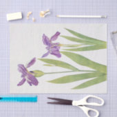 Iris Tectorum en Iris Loptec van William Dykes Tissuepapier (Craft)
