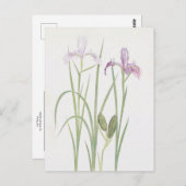 Iris Tenax van William Dykes Briefkaart (Voorkant / Achterkant)