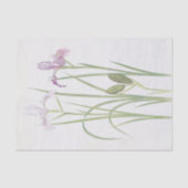 Iris Tenax van William Dykes Tissuepapier (Voorkant)