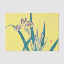 IRIS Tissuepapier