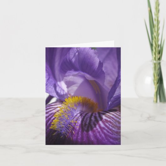 Iris' Tongue Kaart (Voorkant)