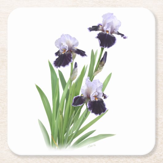 Iris Trio Kartonnen Onderzetters (Voorkant)