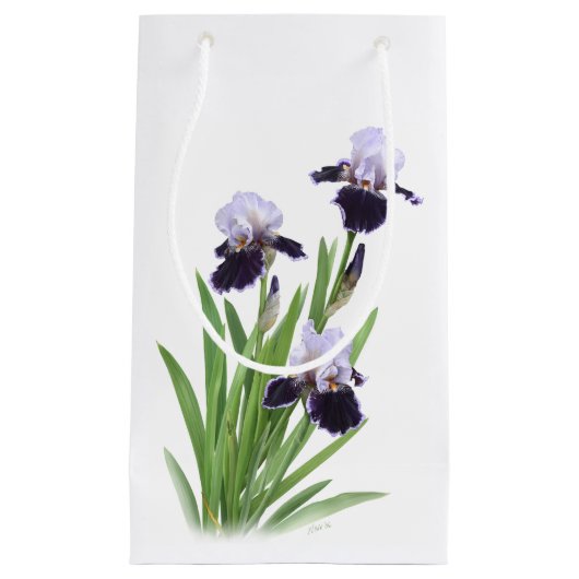 Iris Trio Klein Cadeauzakje (Voorkant)