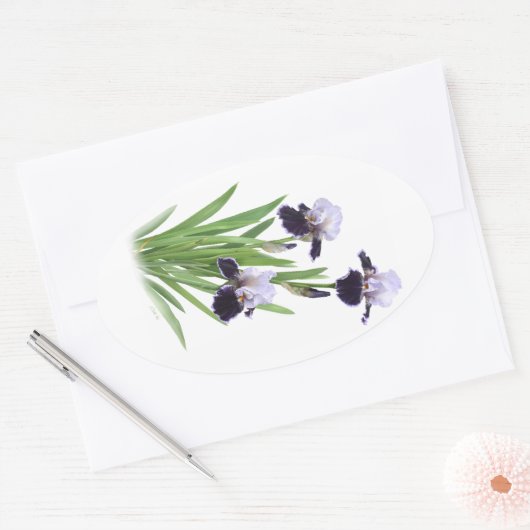 Iris Trio Ovale Sticker (Envelop)