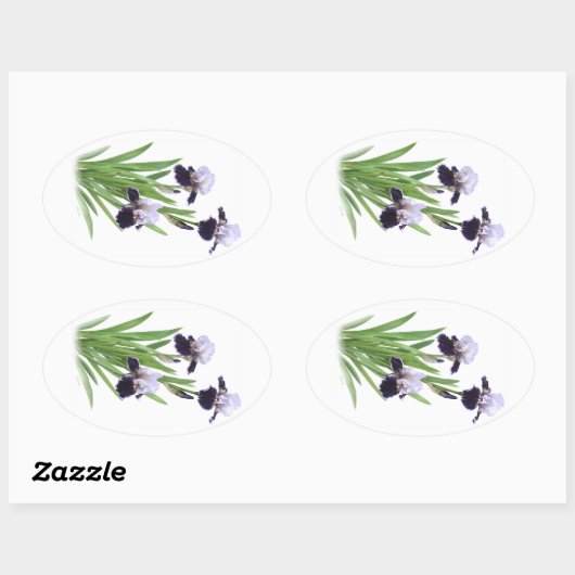 Iris Trio Ovale Sticker (Vel)