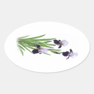 Iris Trio Ovale Sticker