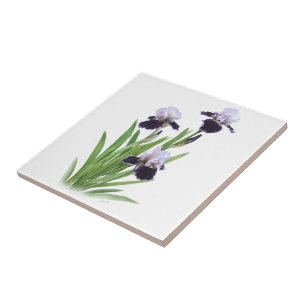 Iris Trio Tegeltje