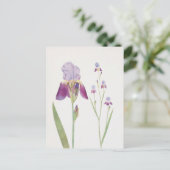 Iris Trojana van William Dykes Briefkaart (Staand voorkant)