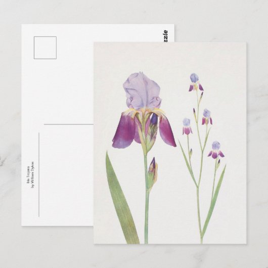 Iris Trojana van William Dykes Briefkaart (Voorkant / Achterkant)