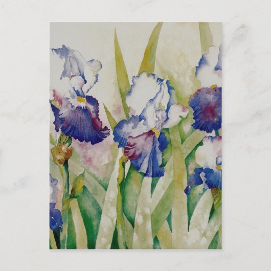 iris tuin 2 briefkaart (Voorkant)