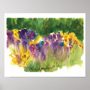 Iris Tuin Aquarelprint - 11 x14 Poster