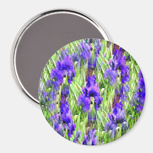 Iris Twirl.... Magneet (Voorkant / Achterkant)