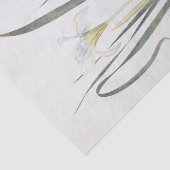 Iris Unguicularis van William Dykes Tissuepapier (Detail)