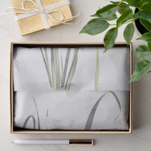 Iris Unguicularis van William Dykes Tissuepapier (Geschenk)