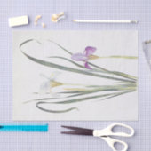 Iris Unguicularis van William Dykes Tissuepapier (Craft)