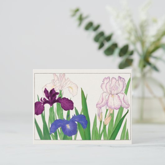 Iris van Tanigami Konan Briefkaart (Staand voorkant)