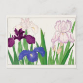 Iris van Tanigami Konan Briefkaart (Voorkant)