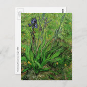Iris van Vincent van Gogh, Garden Fine Art Briefkaart (Voorkant / Achterkant)