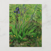 Iris van Vincent van Gogh, Garden Fine Art Briefkaart (Voorkant)