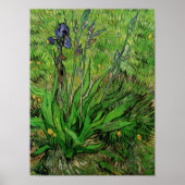 Iris van Vincent van Gogh,  Garden Fine Art Poster (Voorkant)