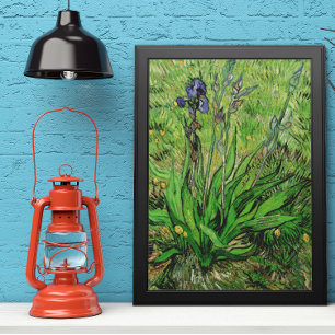 Iris van Vincent van Gogh, Garden Fine Art Poster