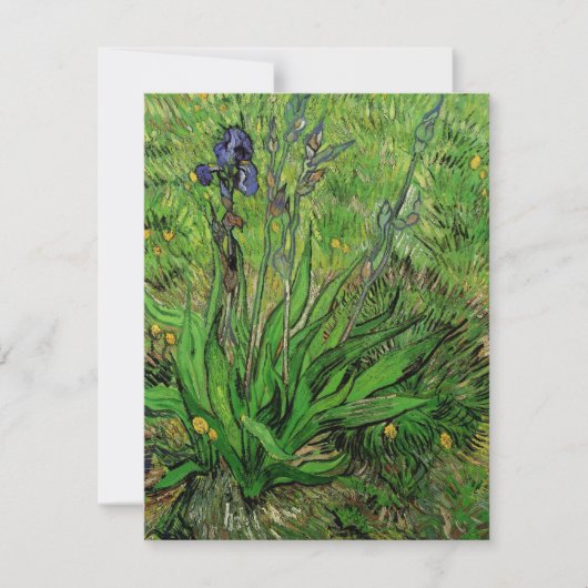 Iris van Vincent van Gogh,  Garden Flowers (Voorkant)