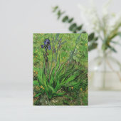 Iris van Vincent van Gogh,  Garden Flowers Briefkaart (Staand voorkant)