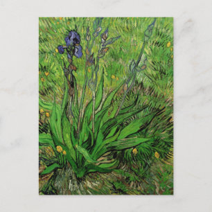 Iris van Vincent van Gogh,  Garden Flowers Briefkaart
