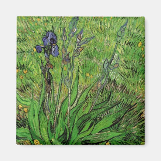 Iris van Vincent van Gogh,  Garden Flowers Magneet (Voorkant)