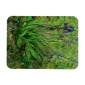Iris van Vincent van Gogh,  Garden Flowers Magneet (Horizontaal)