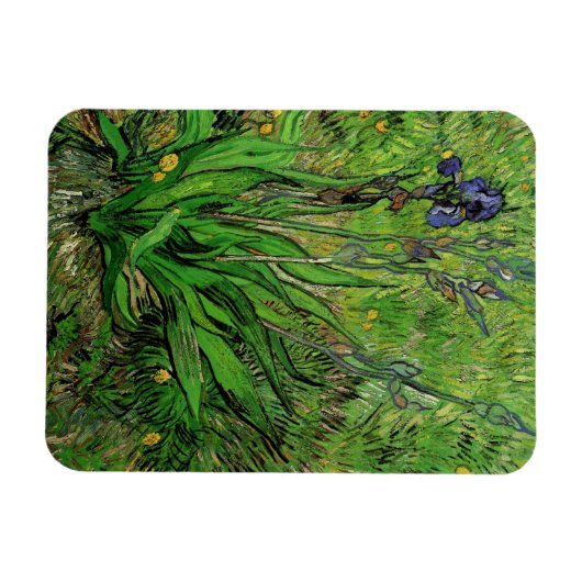 Iris van Vincent van Gogh,  Garden Flowers Magneet (Horizontaal)