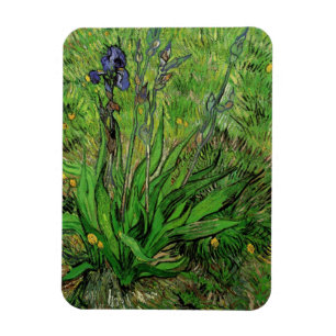 Iris van Vincent van Gogh,  Garden Flowers Magneet