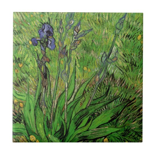 Iris van Vincent van Gogh,  Garden Flowers Tegeltje (Voorkant)