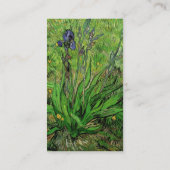 Iris van Vincent van Gogh,  Garden Flowers Visitekaartje (Achterkant)