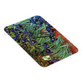 Iris van Vincent van Gogh, Vintage Tuinkunst Magneet (Rechterzijde)