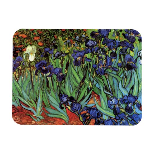 Iris van Vincent van Gogh, Vintage Tuinkunst Magneet (Horizontaal)