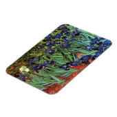Iris van Vincent van Gogh, Vintage Tuinkunst Magneet (Linkerzijde)