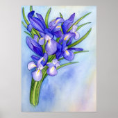 Iris Vase Waterverf schilderen KunstPoster afdrukk Poster (Voorkant)